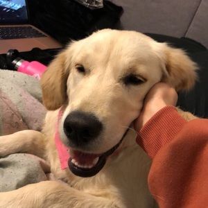 Meet your Posher, Karissa